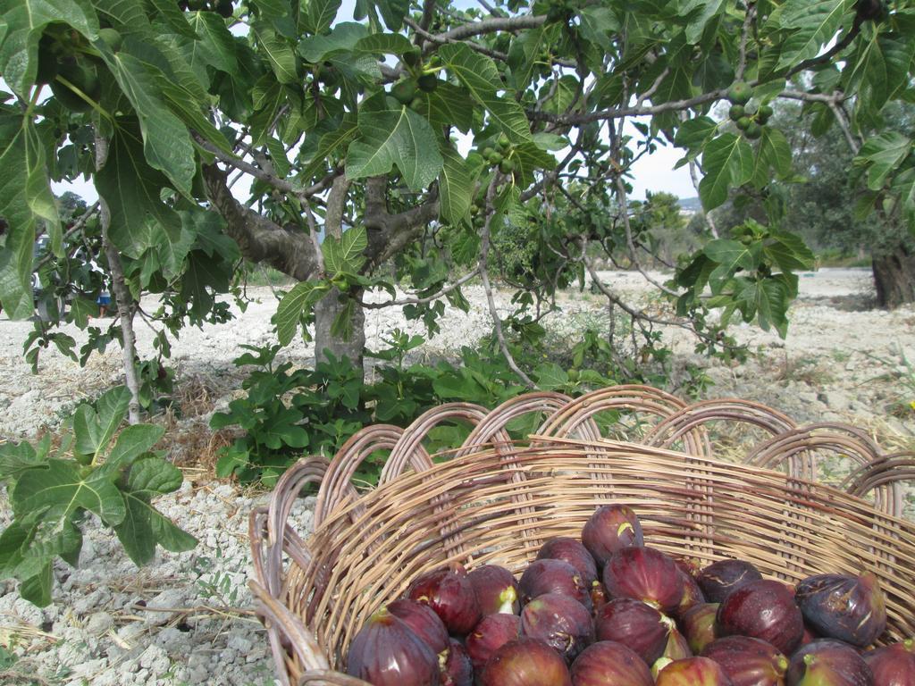 Agriturismo Donna Beatrice 比亚恩科 外观 照片