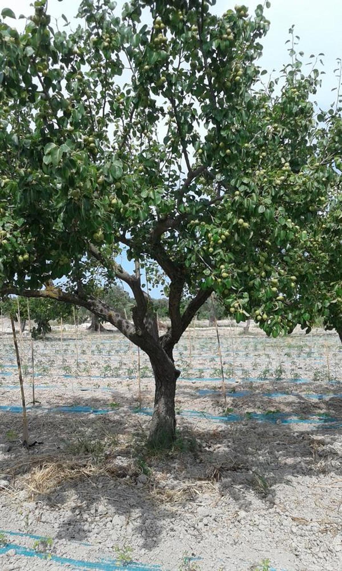 Agriturismo Donna Beatrice 比亚恩科 外观 照片
