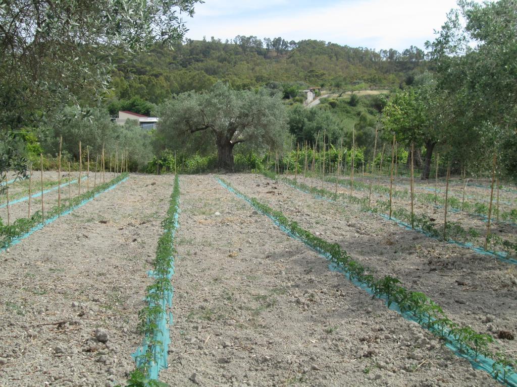 Agriturismo Donna Beatrice 比亚恩科 外观 照片