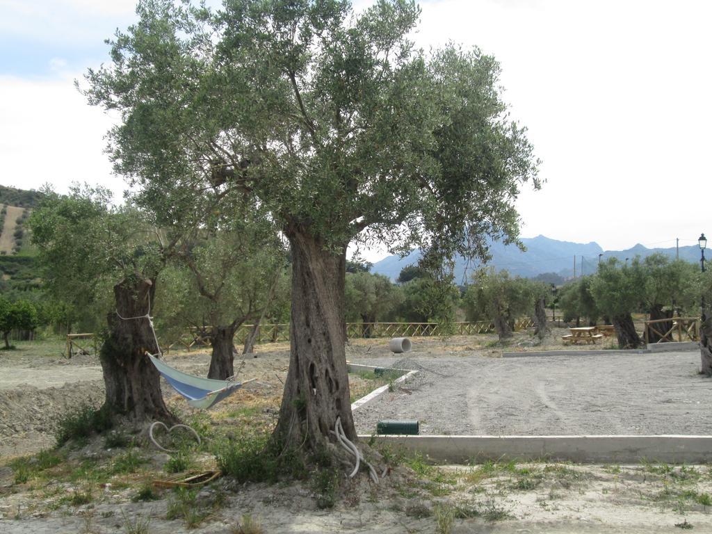 Agriturismo Donna Beatrice 比亚恩科 外观 照片