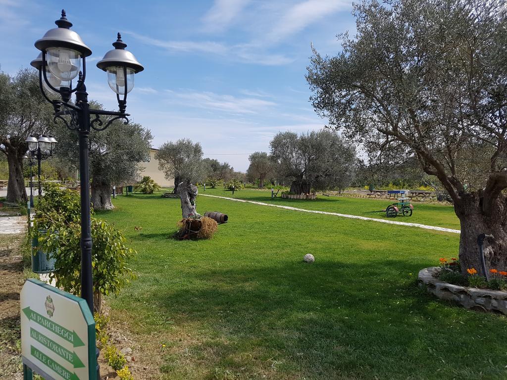 Agriturismo Donna Beatrice 比亚恩科 外观 照片
